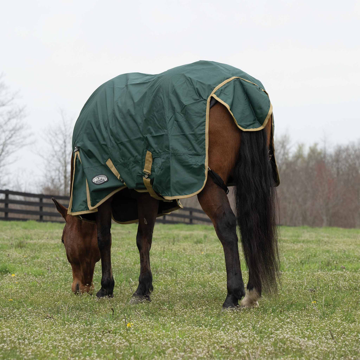 Horse Blanket for Turnout, Medium Weight, 200g Fill, 600 Denier Ripstop