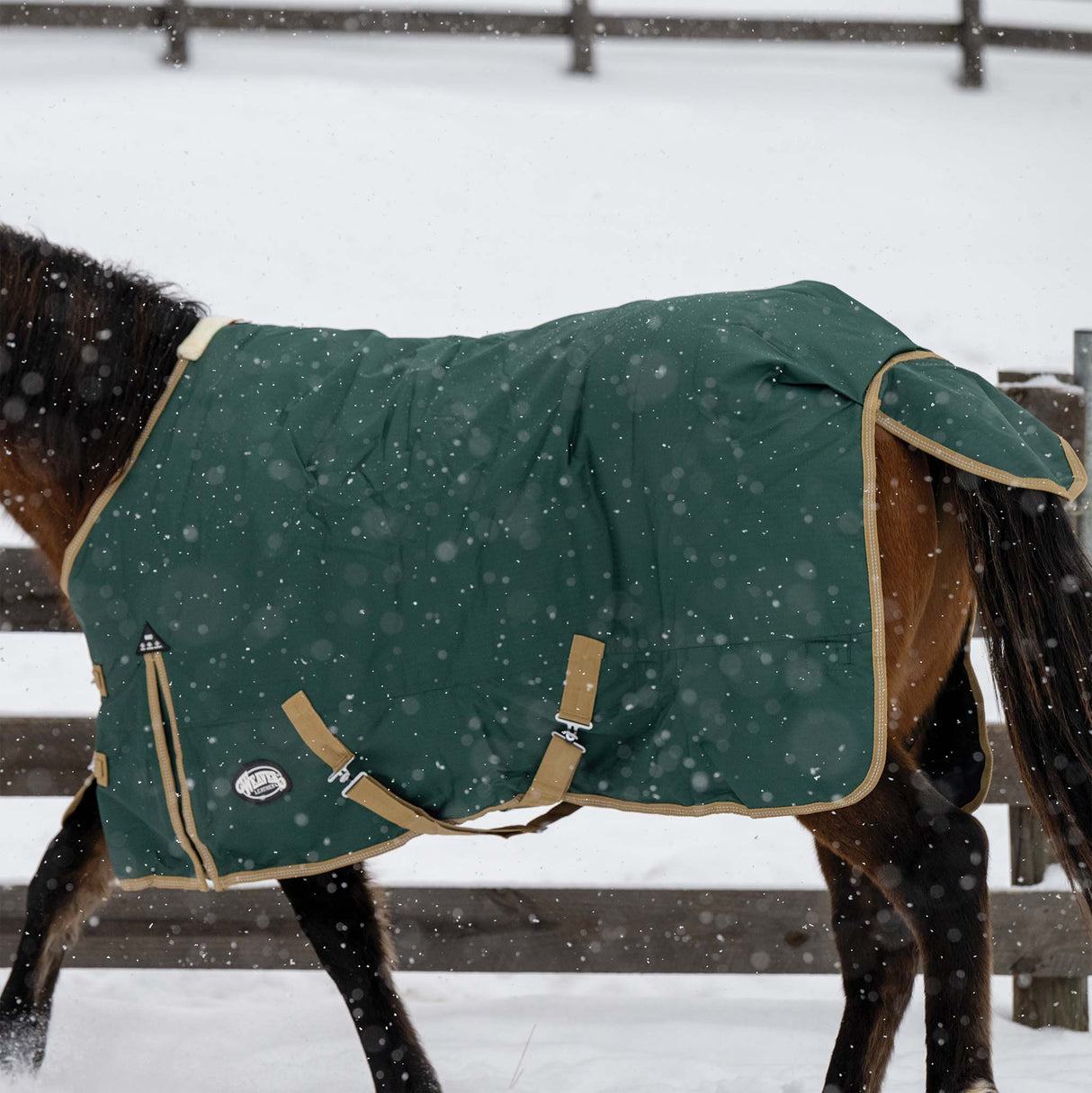 Horse wearing a green winter blanket in a snowy environment