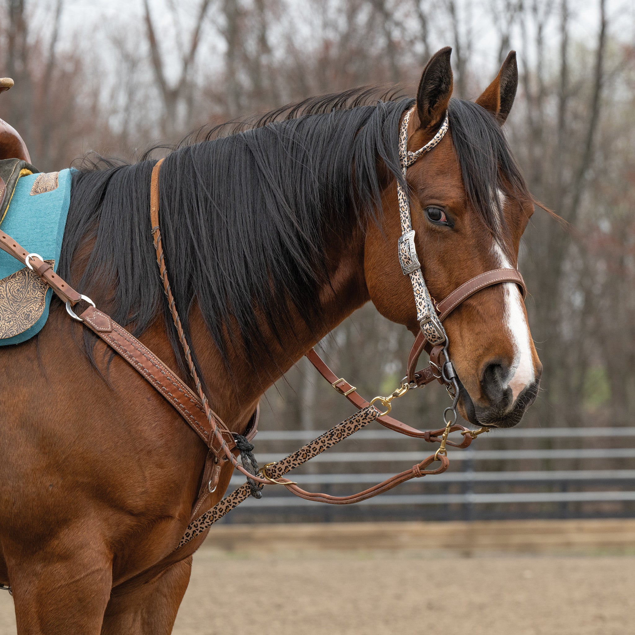 Patterned Deluxe Horse Tie Down Strap