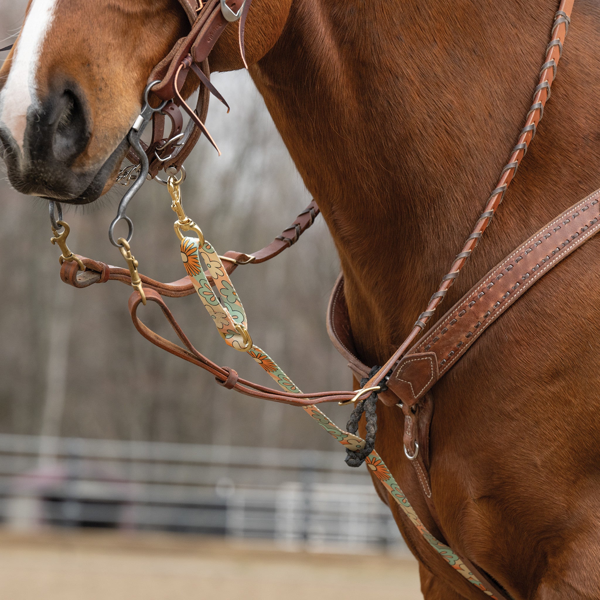 Patterned Deluxe Horse Tie Down Strap