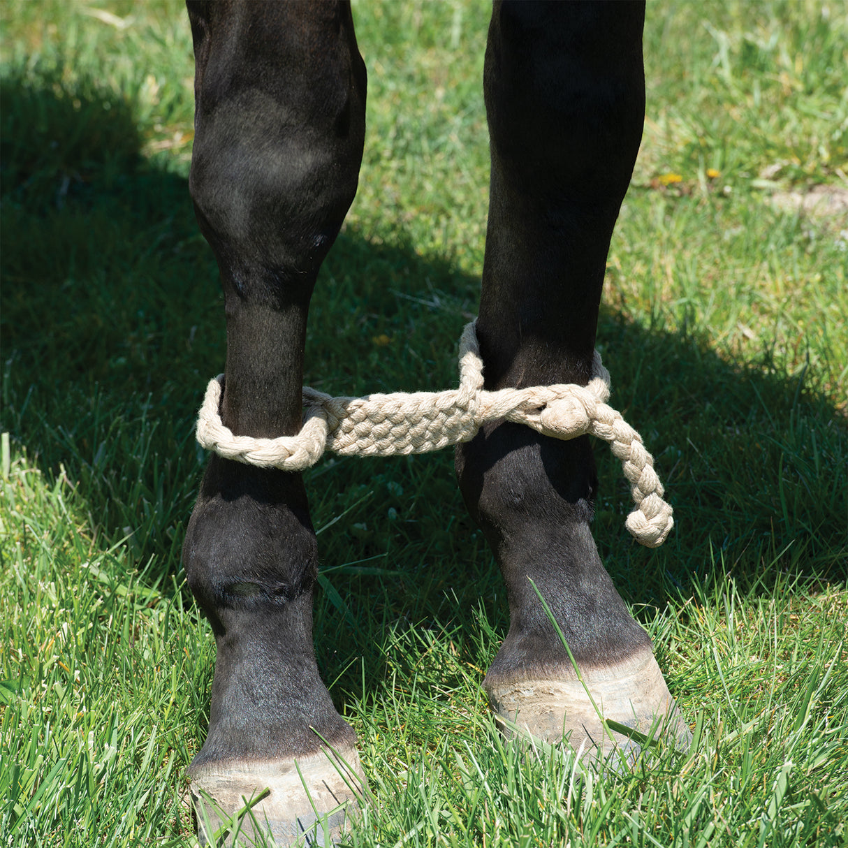 EcoLuxe™ Bamboo Hobbles