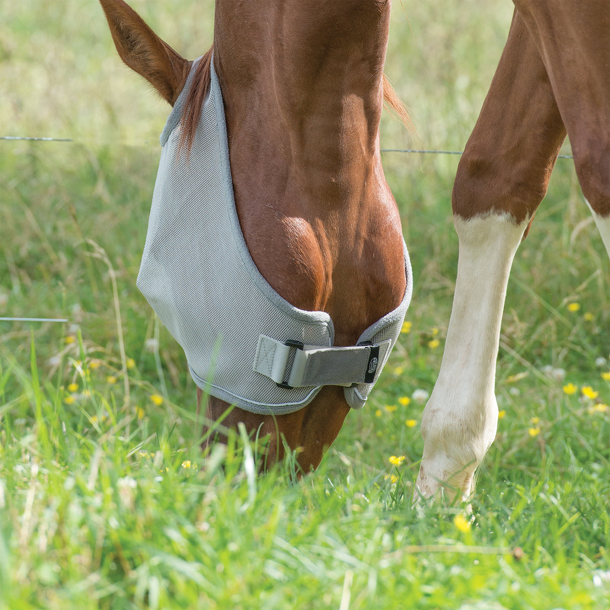 Xtended Life Replacement Closures for Fly Masks, 2"