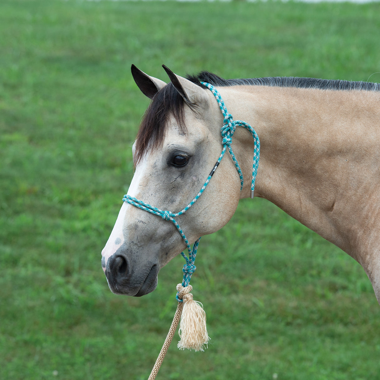 Silvertip No. 95 Rope Halter with Lead