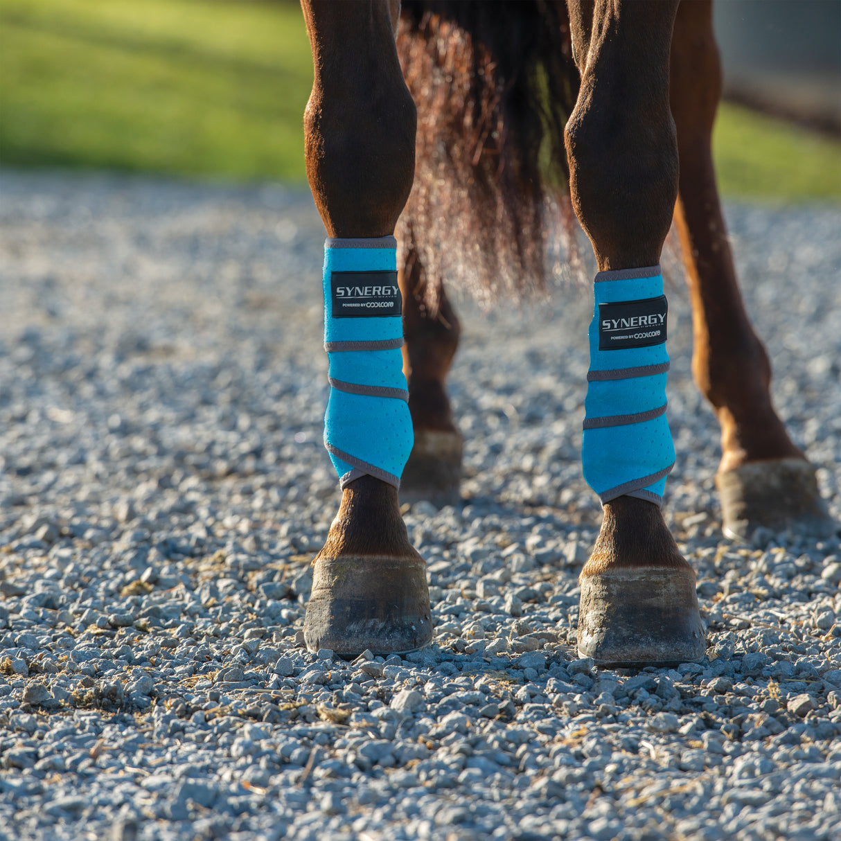Equine Icing & Cooling Polo Wraps Powered by Coolcore®