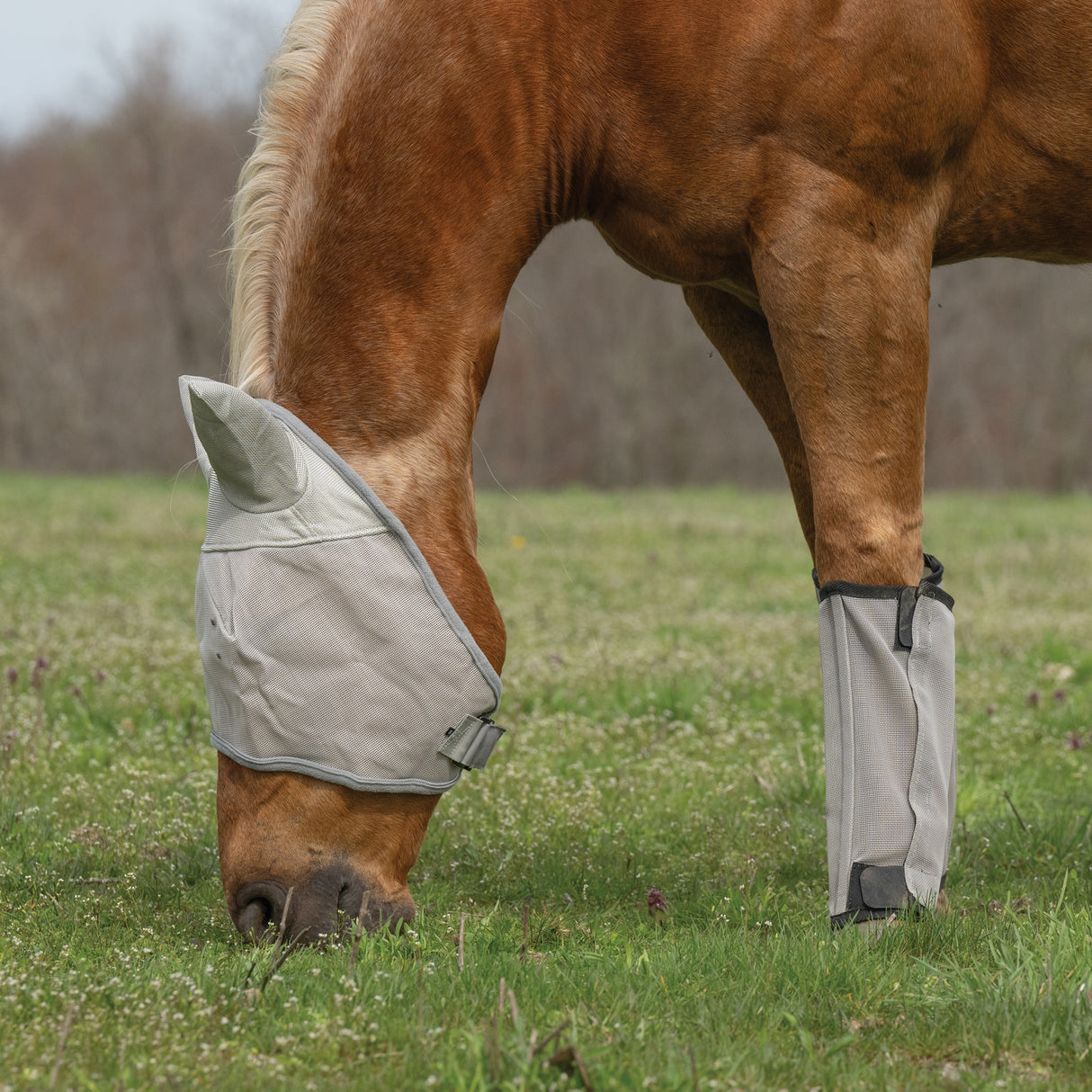 Horse Fly Boots - Set of 4, Mesh, Breathable, UV Protection