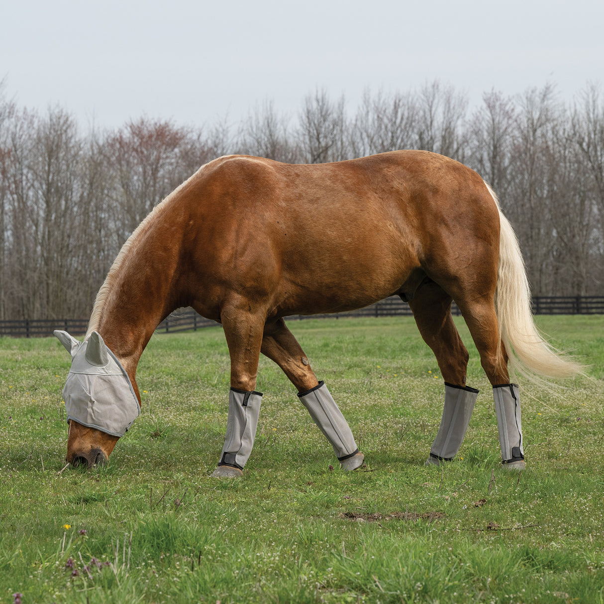 Horse Fly Boots - Set of 4, Mesh, Breathable, UV Protection