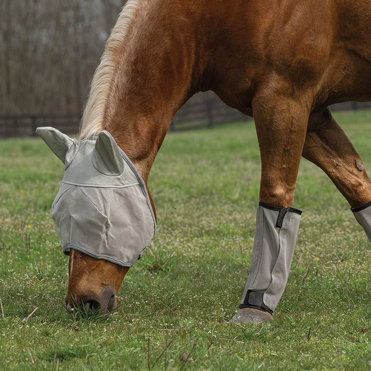 Horse Fly Boots - Set of 4, Mesh, Breathable, UV Protection