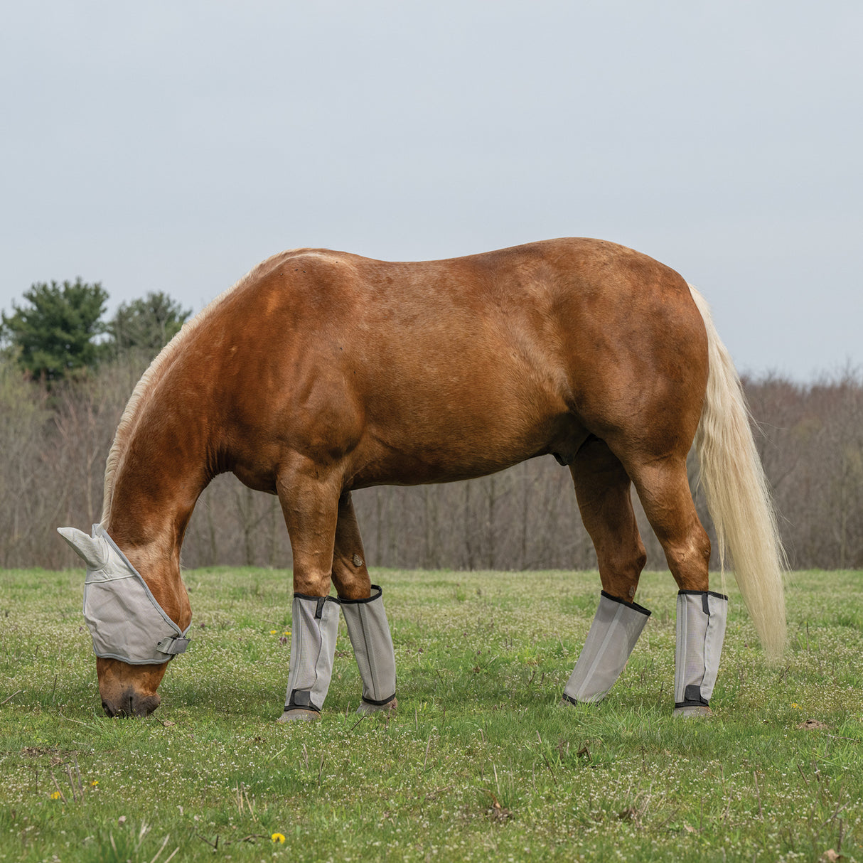 Horse Fly Boots - Set of 4, Mesh, Breathable, UV Protection