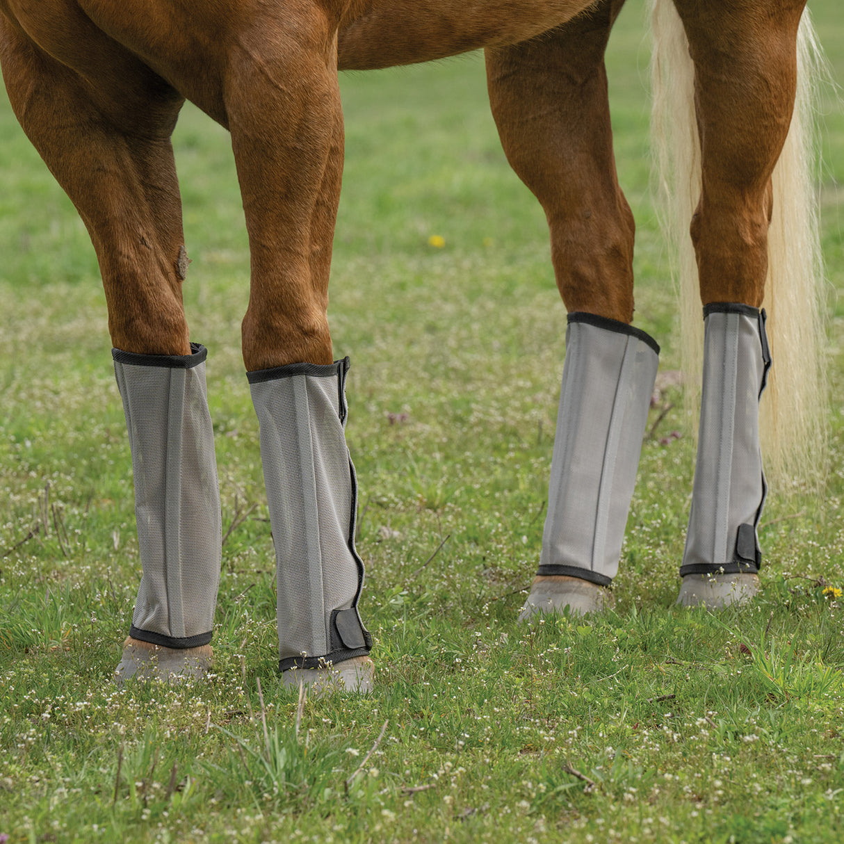 Horse Fly Boots - Set of 4, Mesh, Breathable, UV Protection