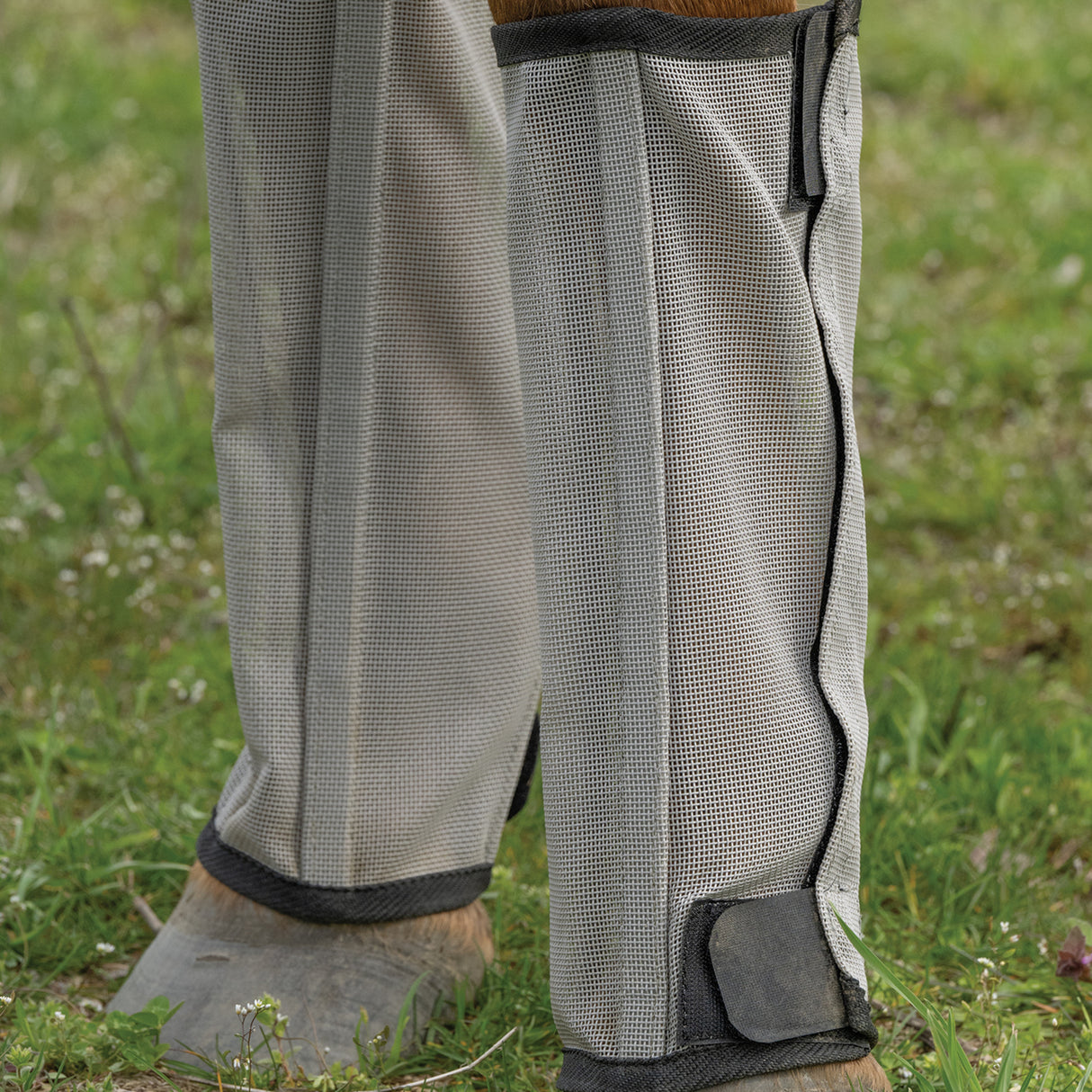 Horse Fly Boots - Set of 4, Mesh, Breathable, UV Protection