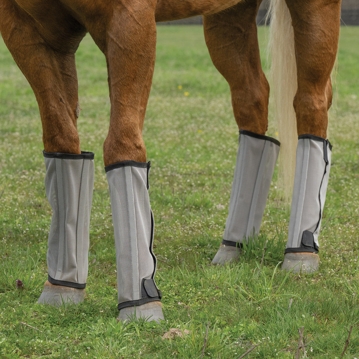 Horse Fly Boots - Set of 4, Mesh, Breathable, UV Protection