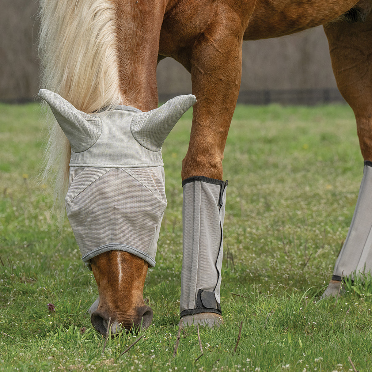 Horse Fly Boots - Set of 4, Mesh, Breathable, UV Protection