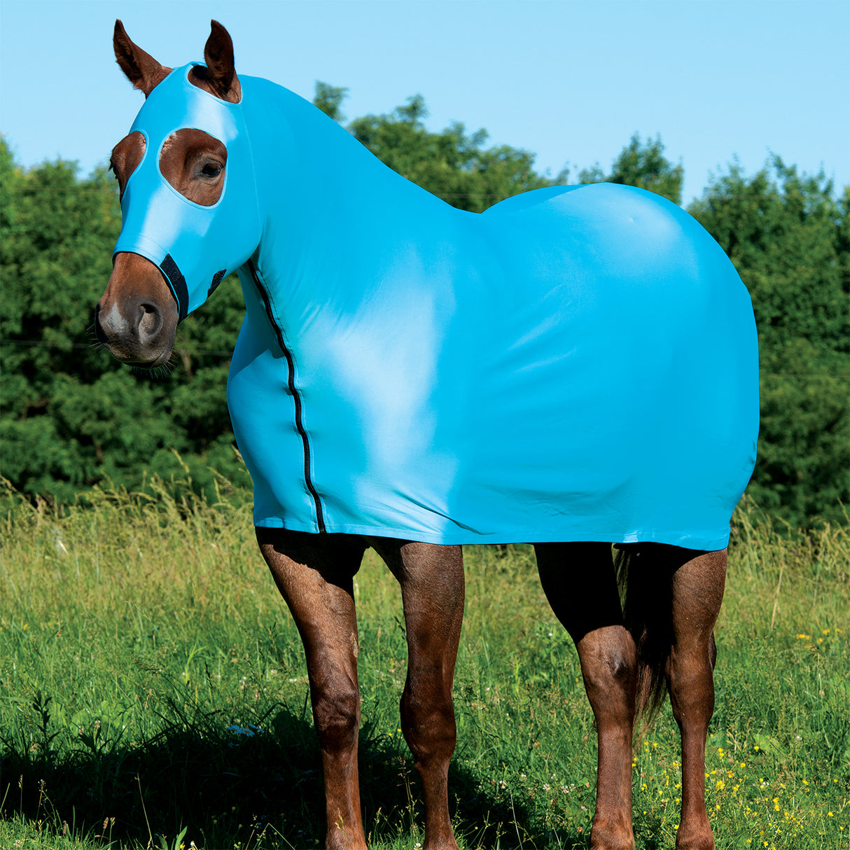 Equine Lycra® Sheets Powered by Coolcore®