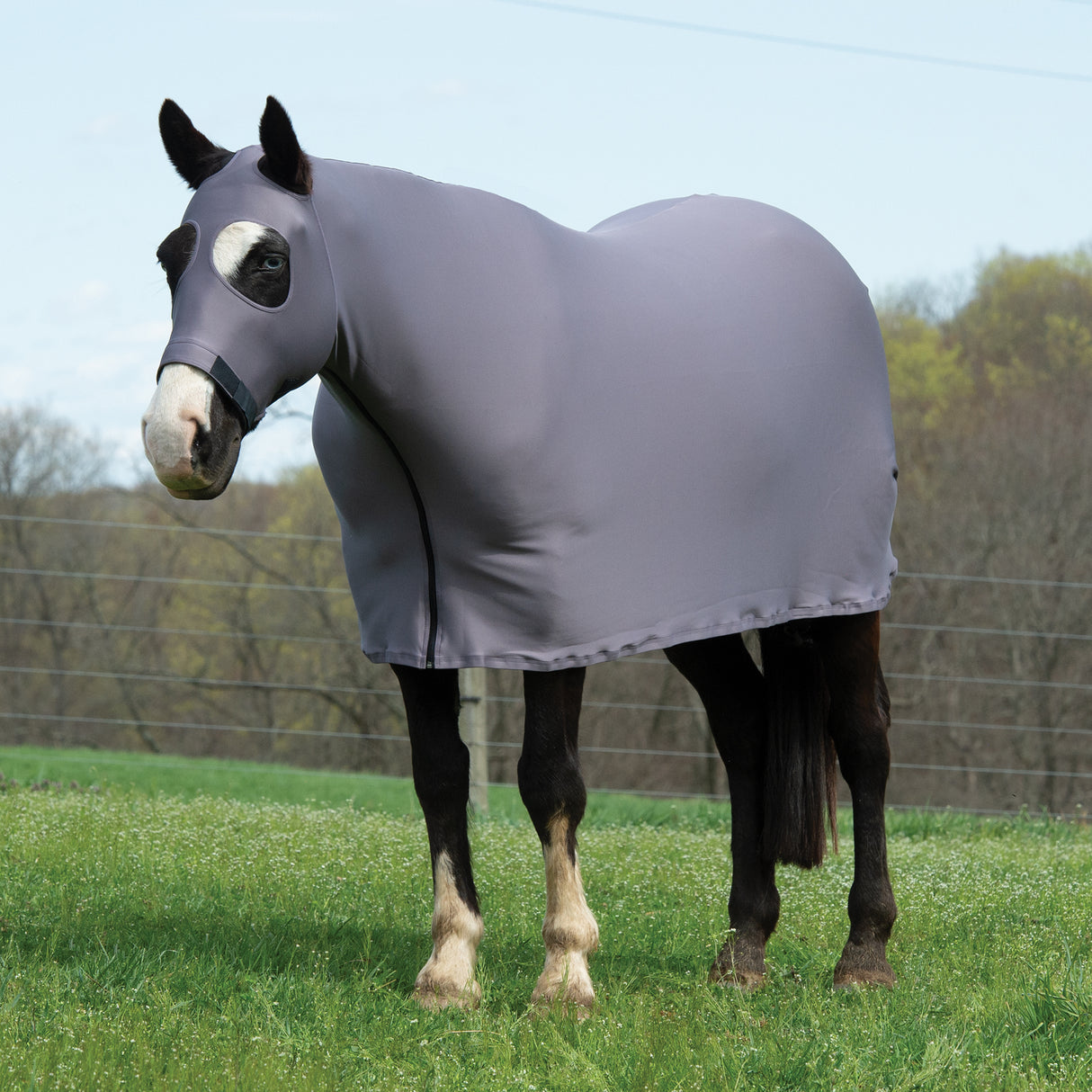 Equine Lycra® Sheets Powered by Coolcore®