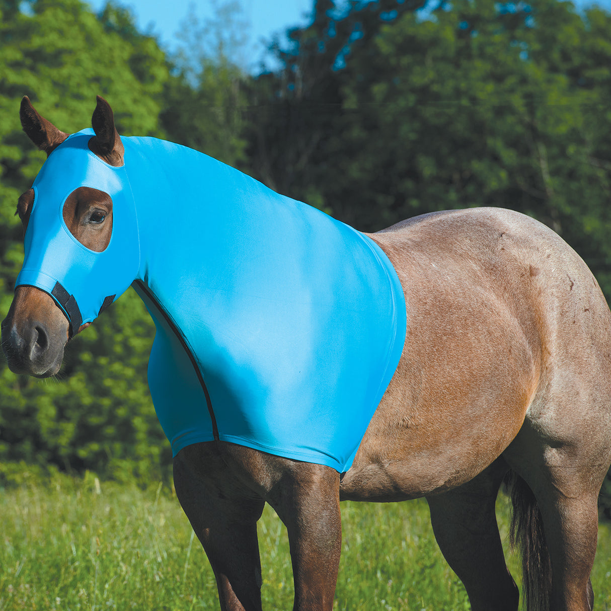 Equine Lycra® Hoods Powered by Coolcore®