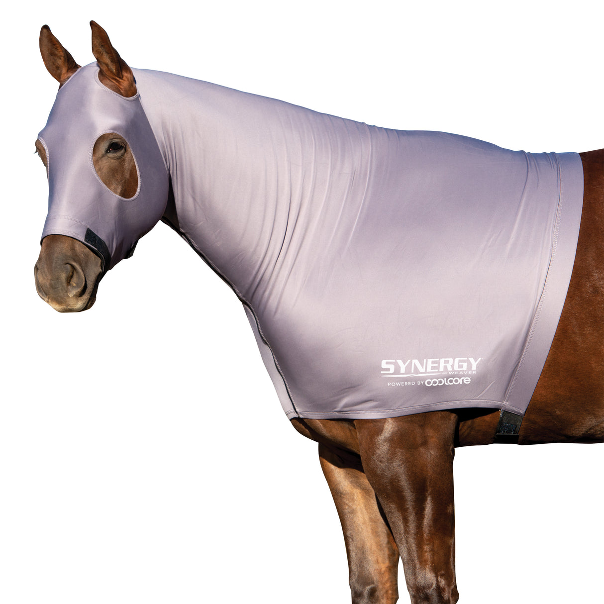 Equine Lycra® Hoods Powered by Coolcore®