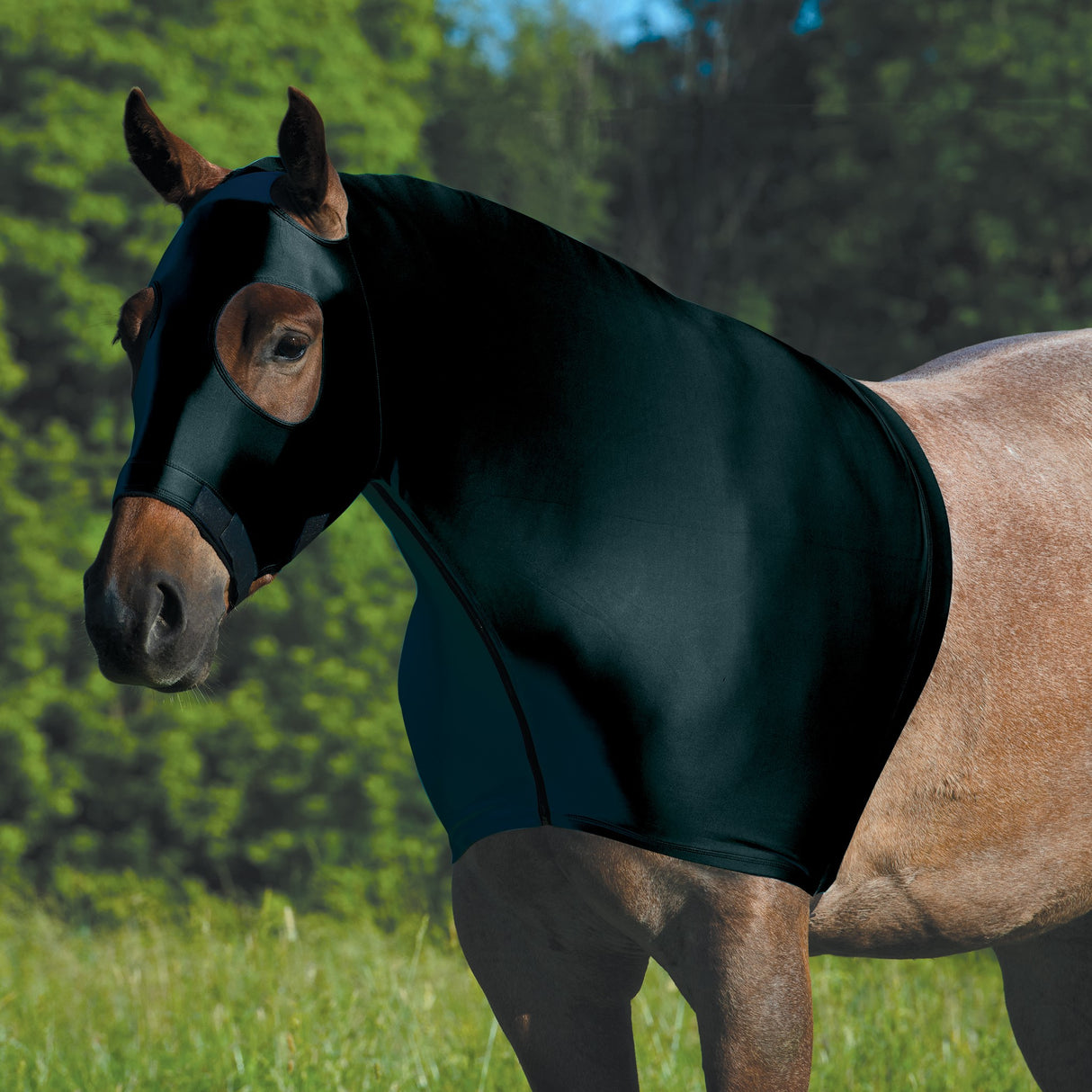 Equine Lycra® Hoods Powered by Coolcore®
