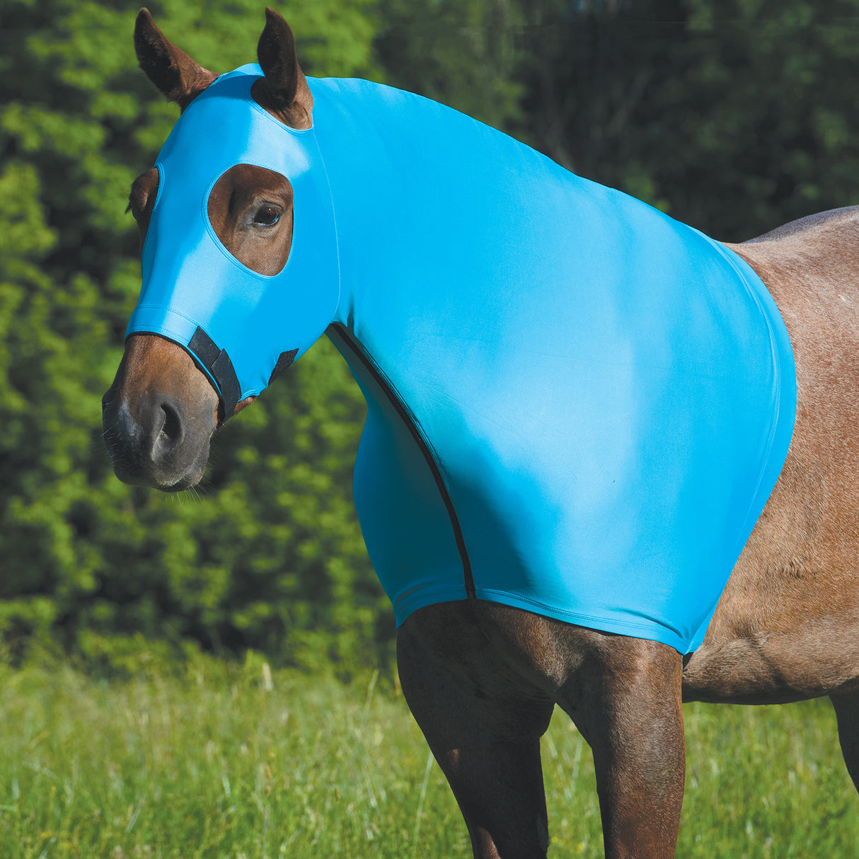 Equine Lycra® Hoods Powered by Coolcore®
