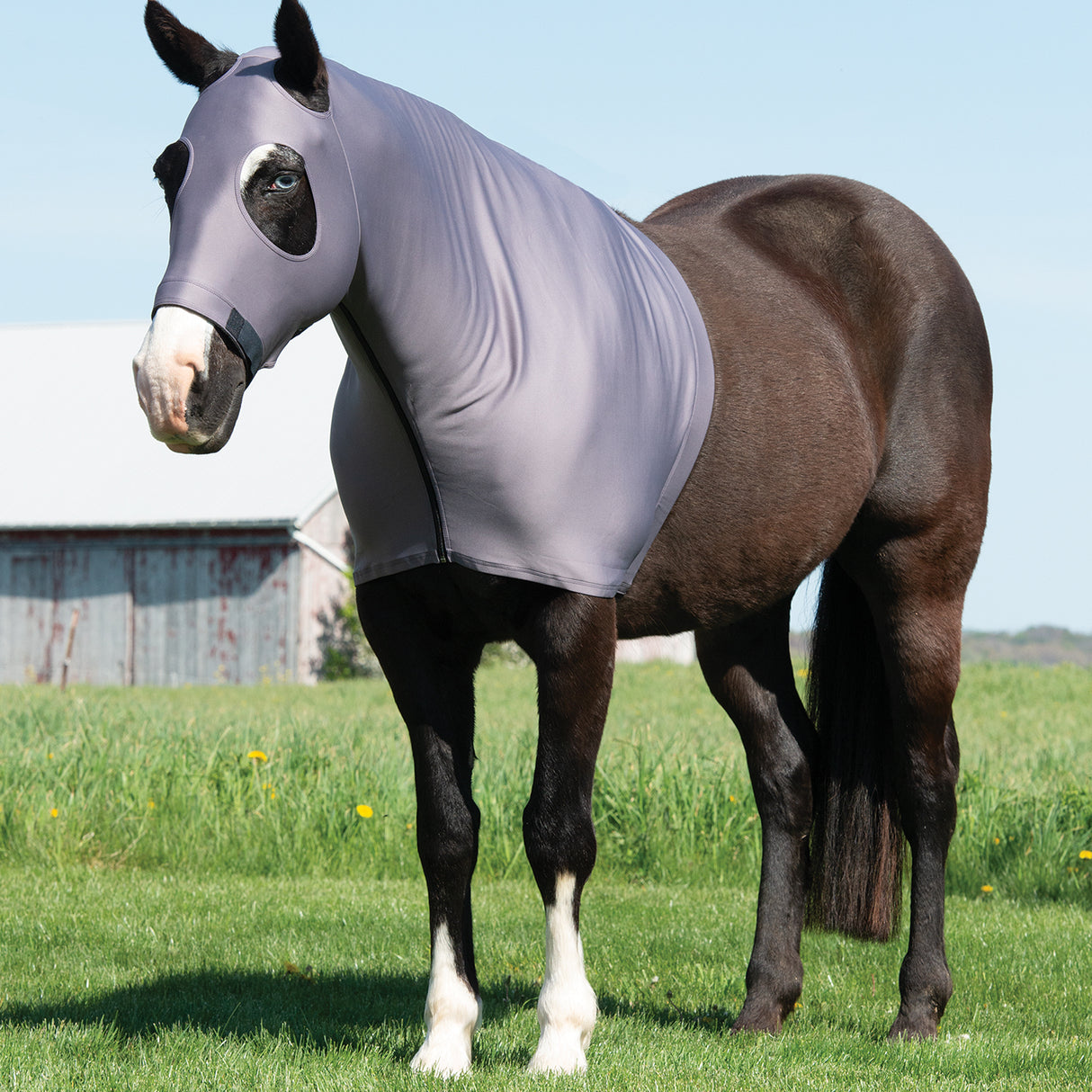 Equine Lycra® Hoods Powered by Coolcore®