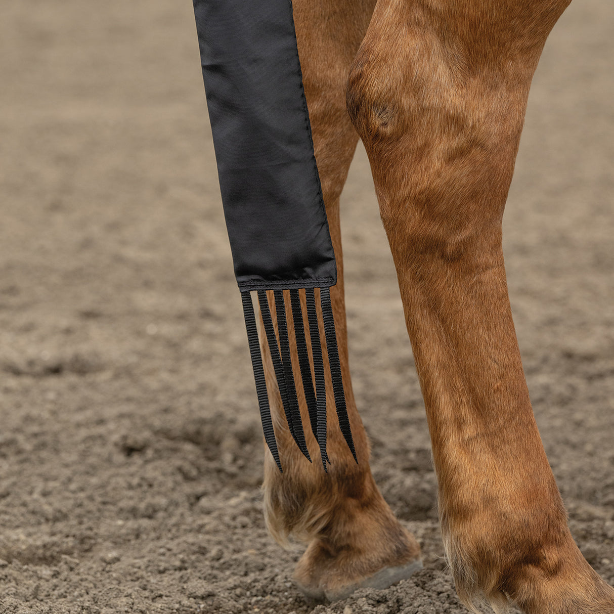 Horse Tail Bag – Weather Resistant, 420D Polyester