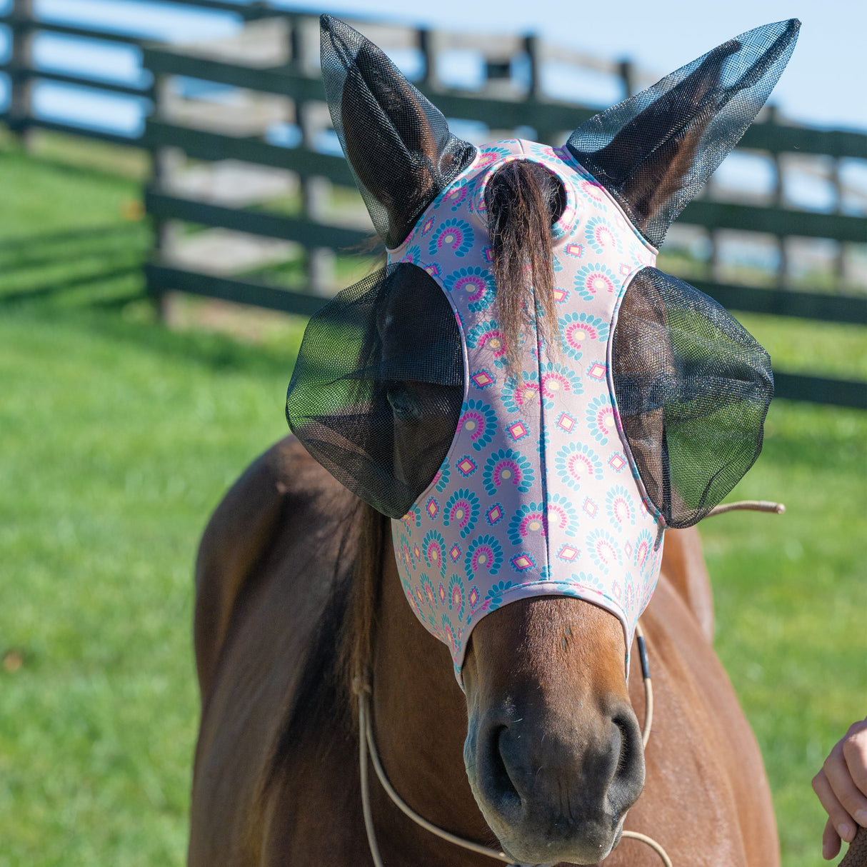 Equine Lycra® Fly Masks Powered by Coolcore®