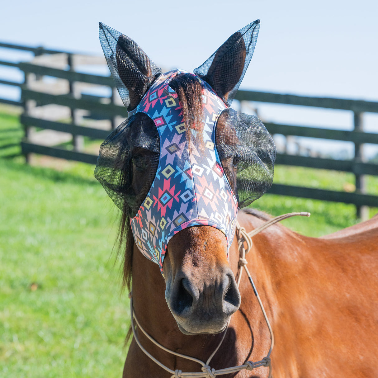Equine Lycra® Fly Masks Powered by Coolcore®