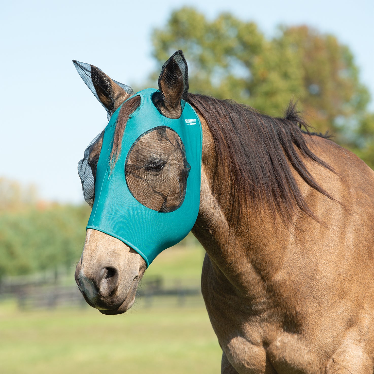 Equine Lycra® Fly Masks Powered by Coolcore®