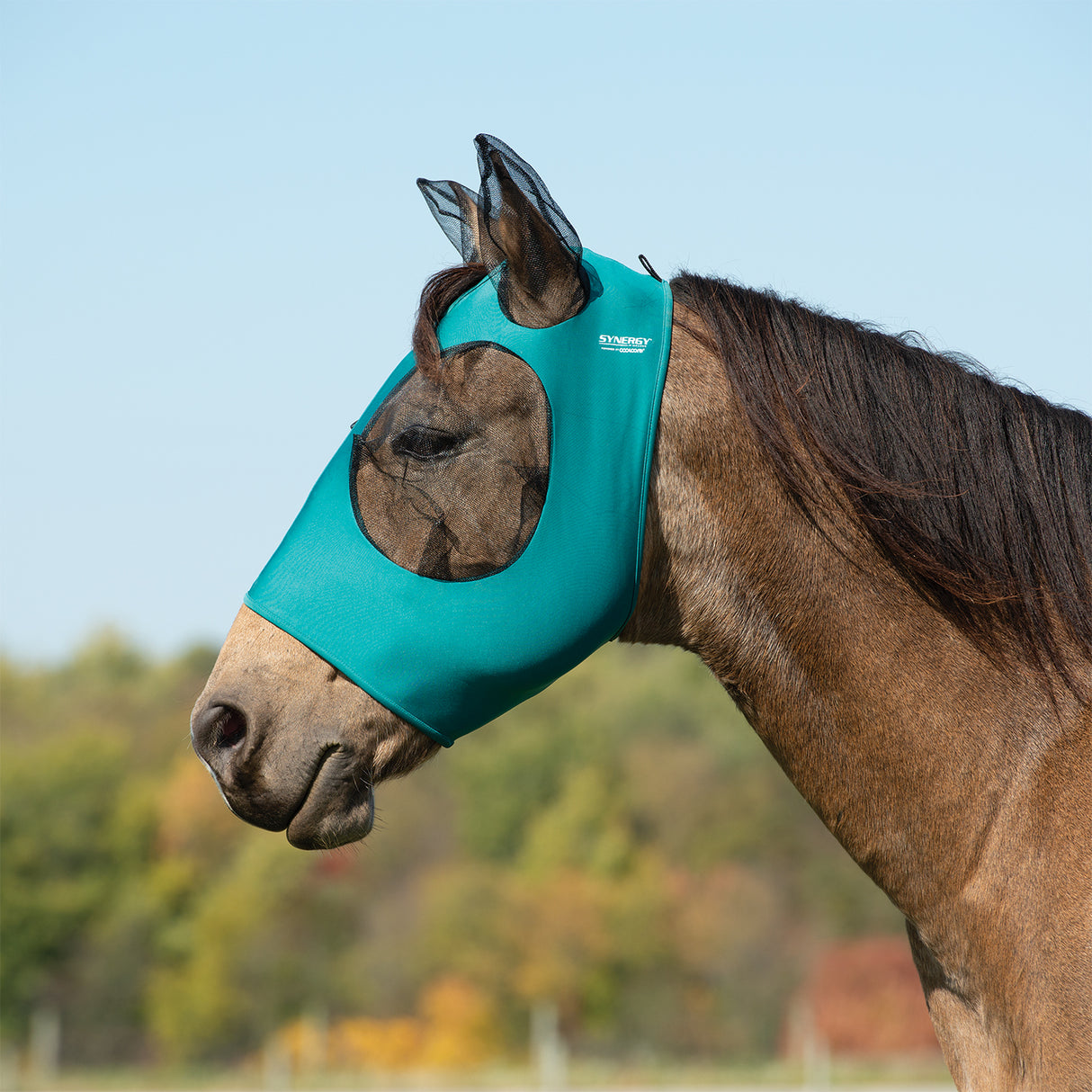 Equine Lycra® Fly Masks Powered by Coolcore®