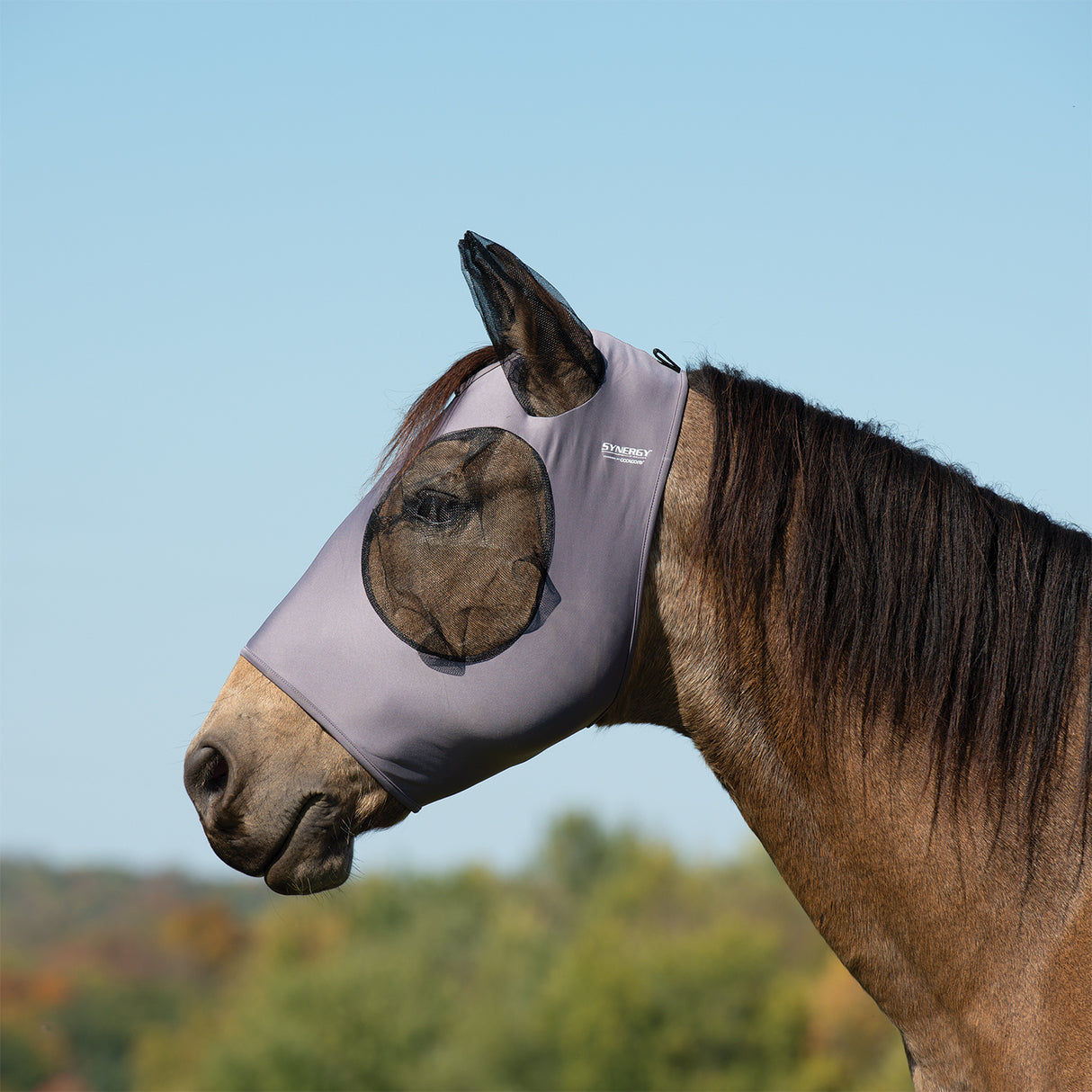 Equine Lycra® Fly Masks Powered by Coolcore®