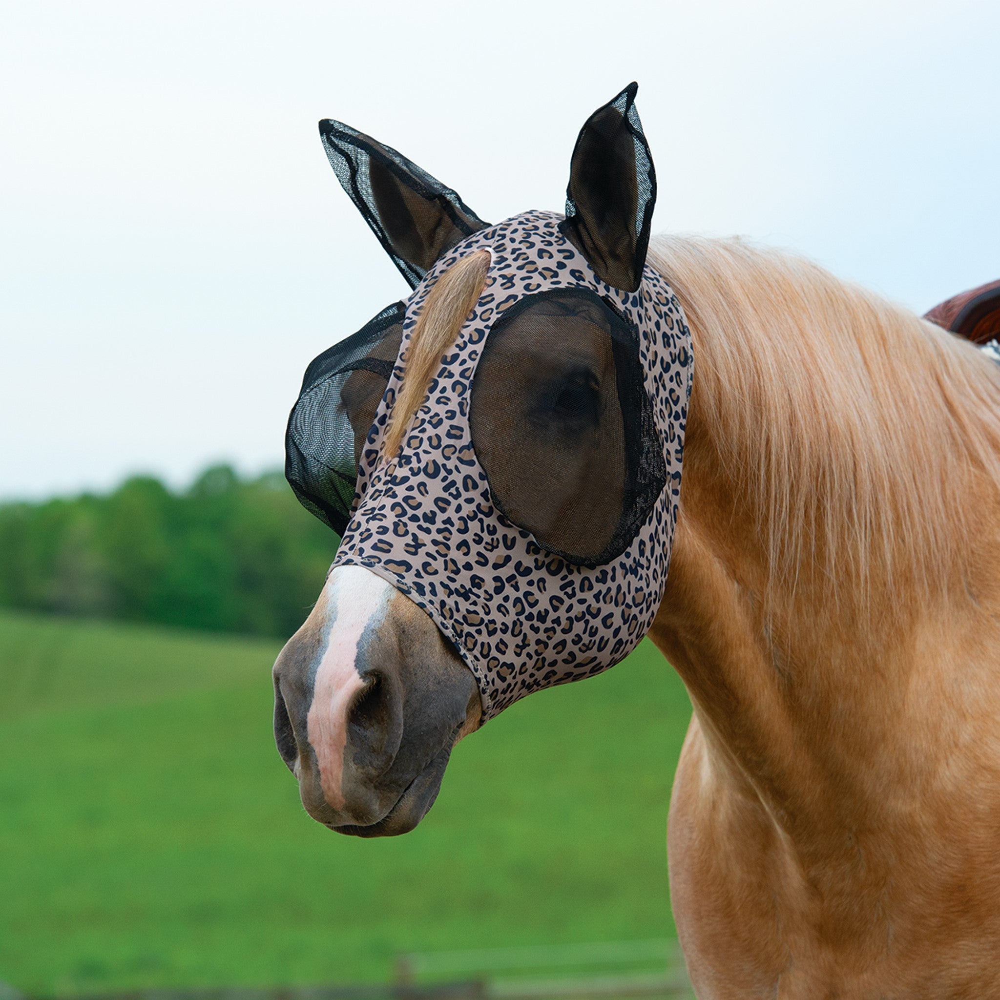 Equine Lycra® Fly Masks Powered by Coolcore®