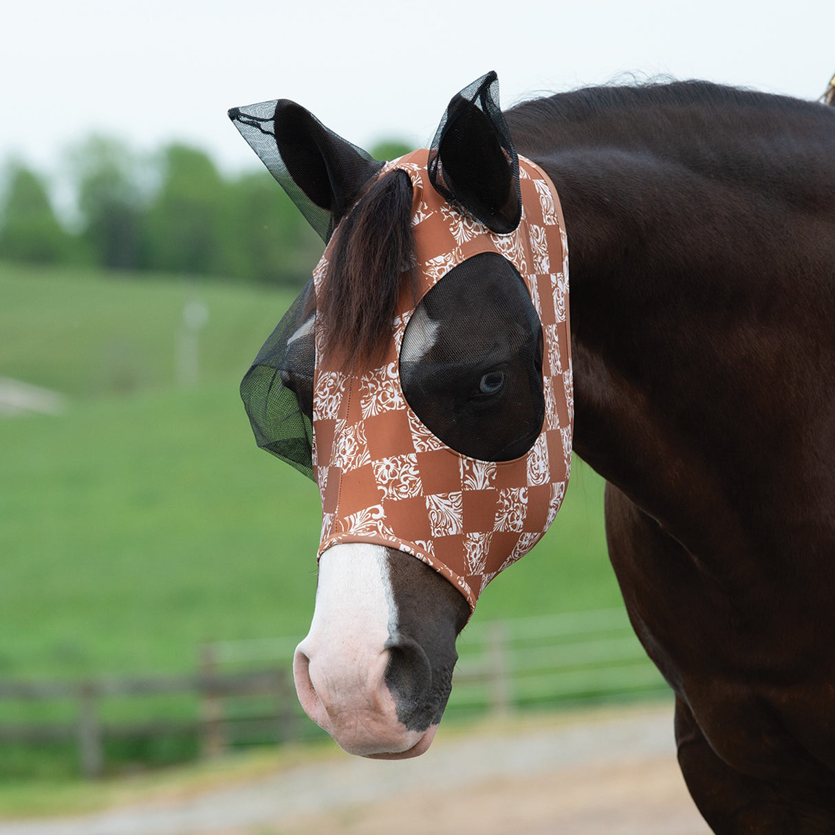 Equine Lycra® Fly Masks Powered by Coolcore®