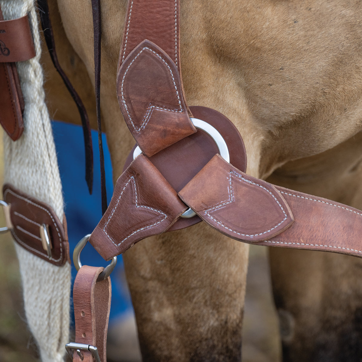 Harness Leather Breast Collar
