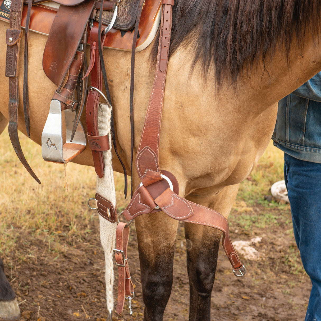 Harness Leather Breast Collar