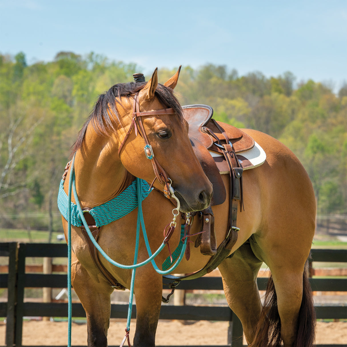 EcoLuxe™ Bamboo Split Reins