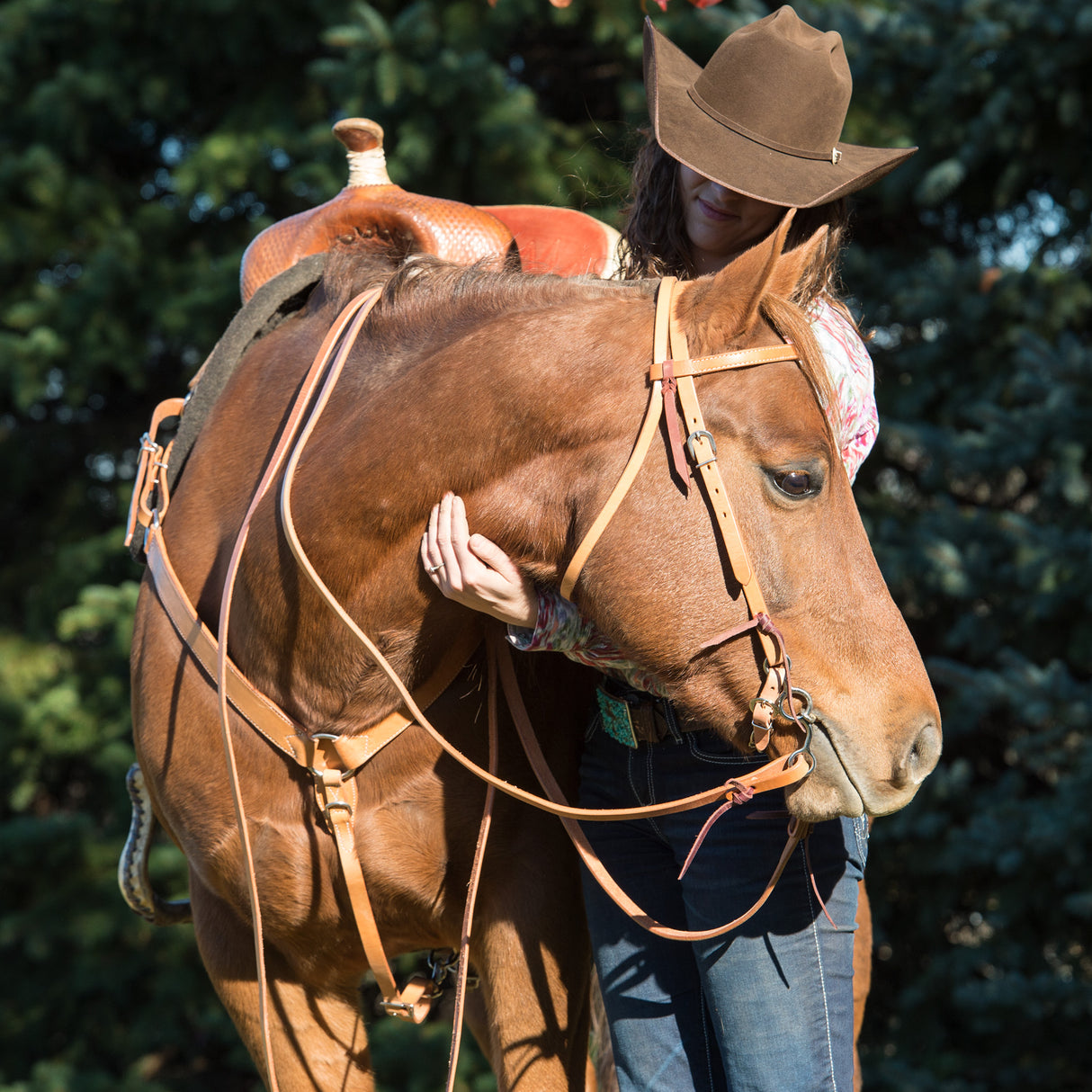 Skirting Leather Contoured Breast Collar