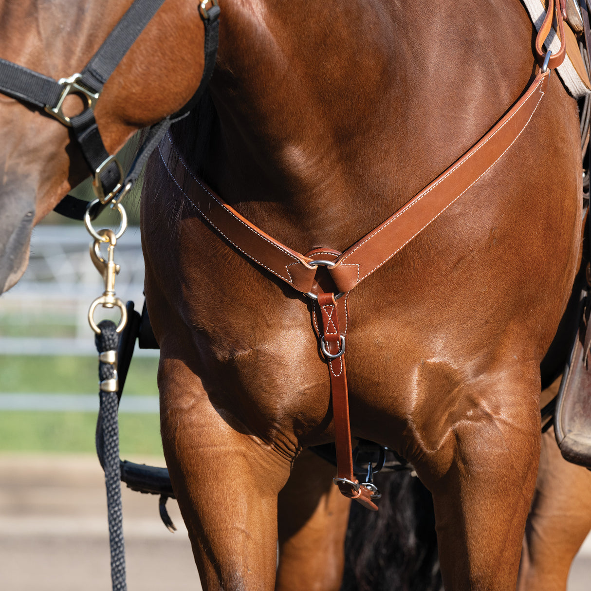 Skirting Leather Contoured Breast Collar