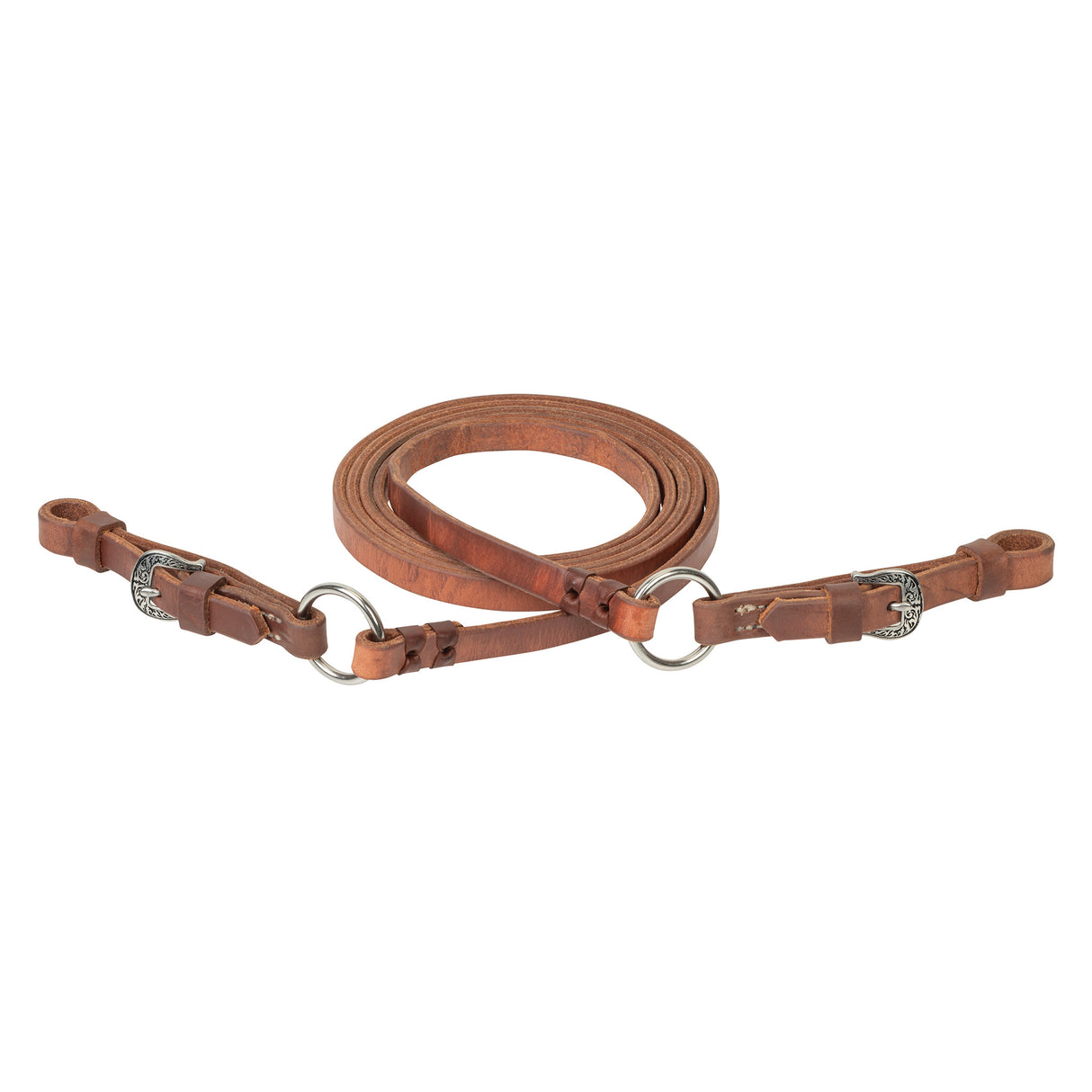 Kalley Krickeberg Signal Rein