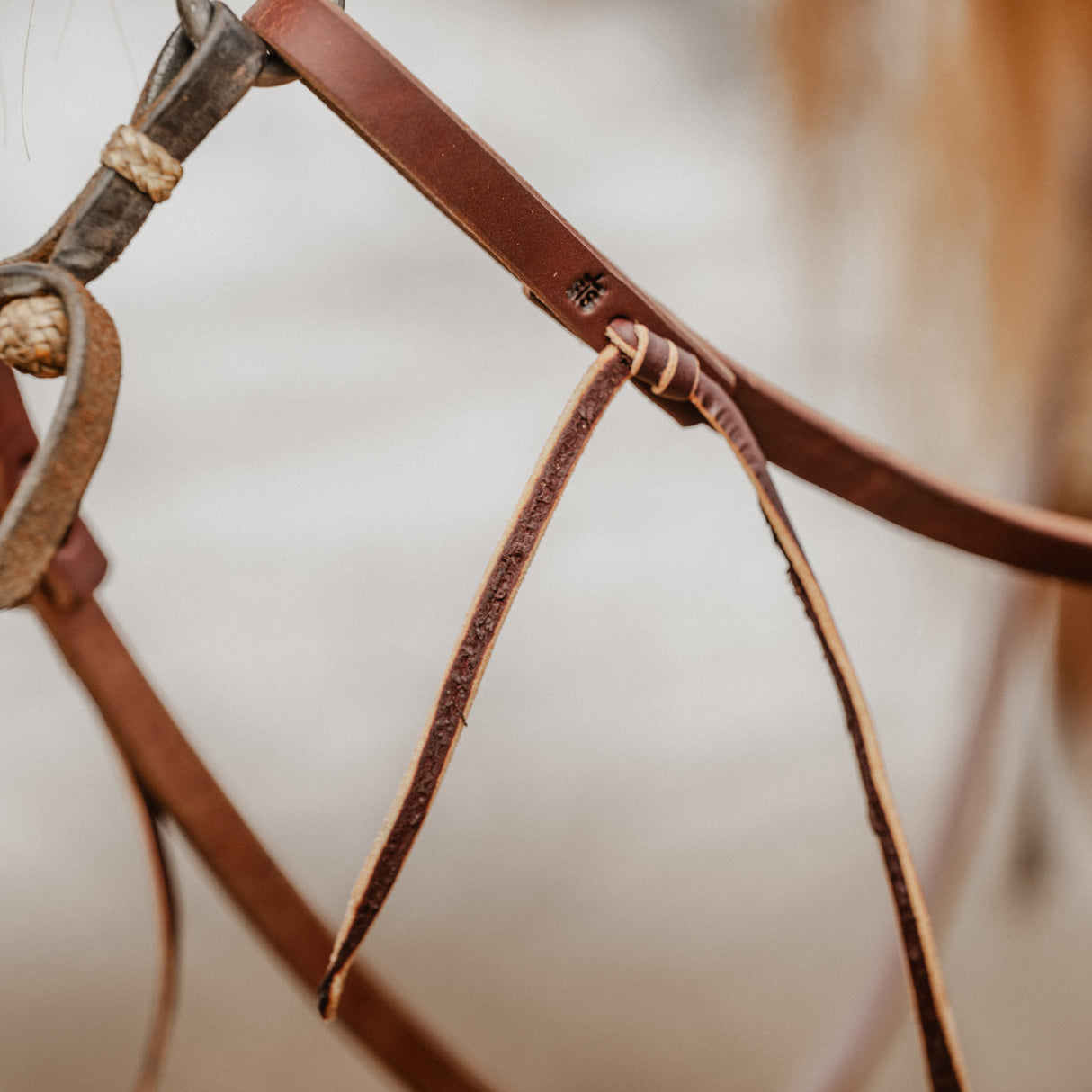 STS Ranch Signature Tack Harness Leather Split Rein, Water Tie Ends, 8'