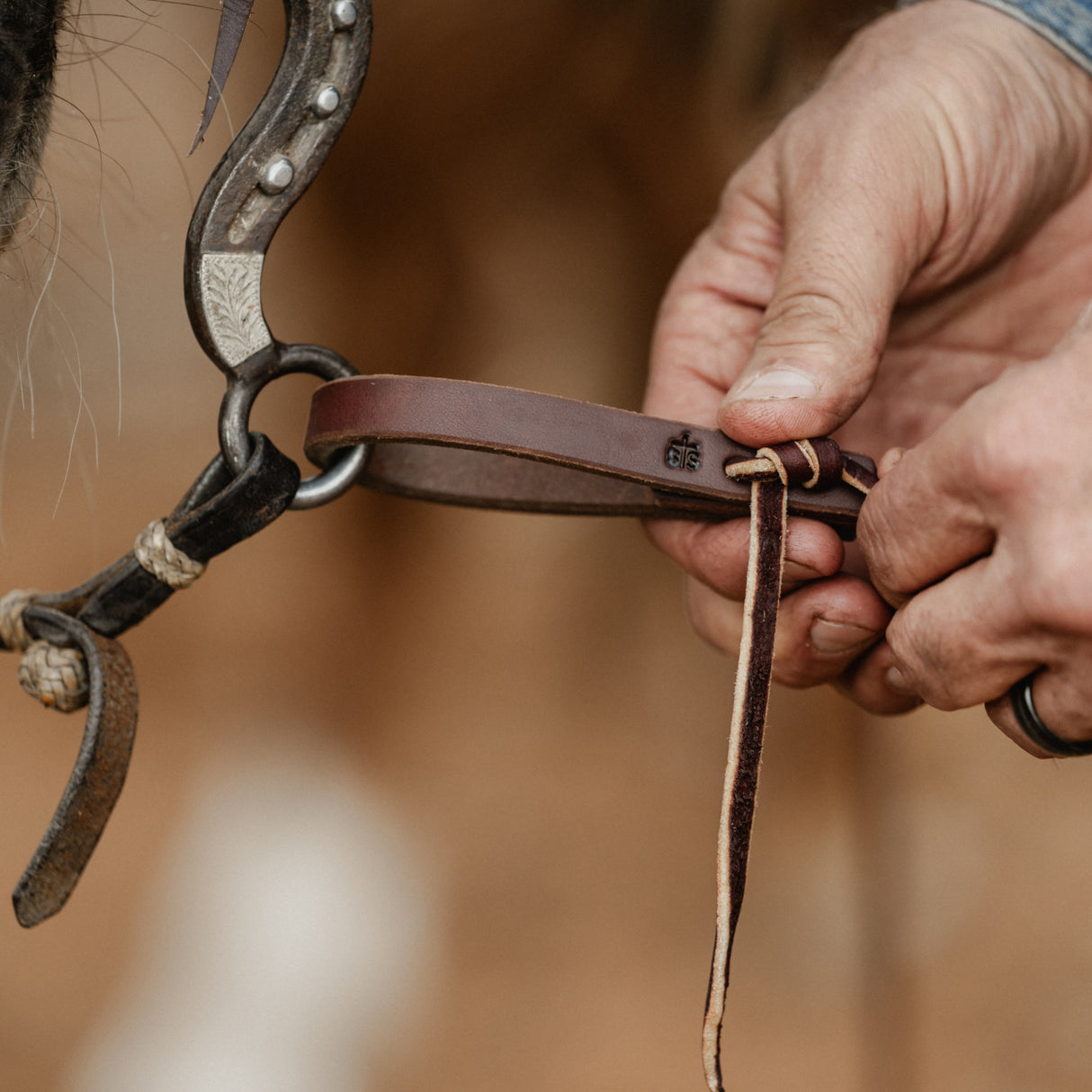STS Ranch Signature Tack Harness Leather Split Rein, Water Tie Ends, 8'