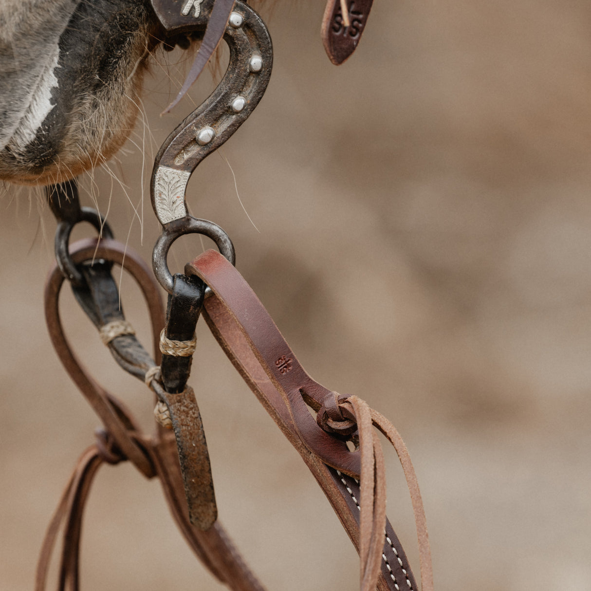 STS Ranch Signature Tack Latigo Leather Split Rein, Pineapple Knot, 8'