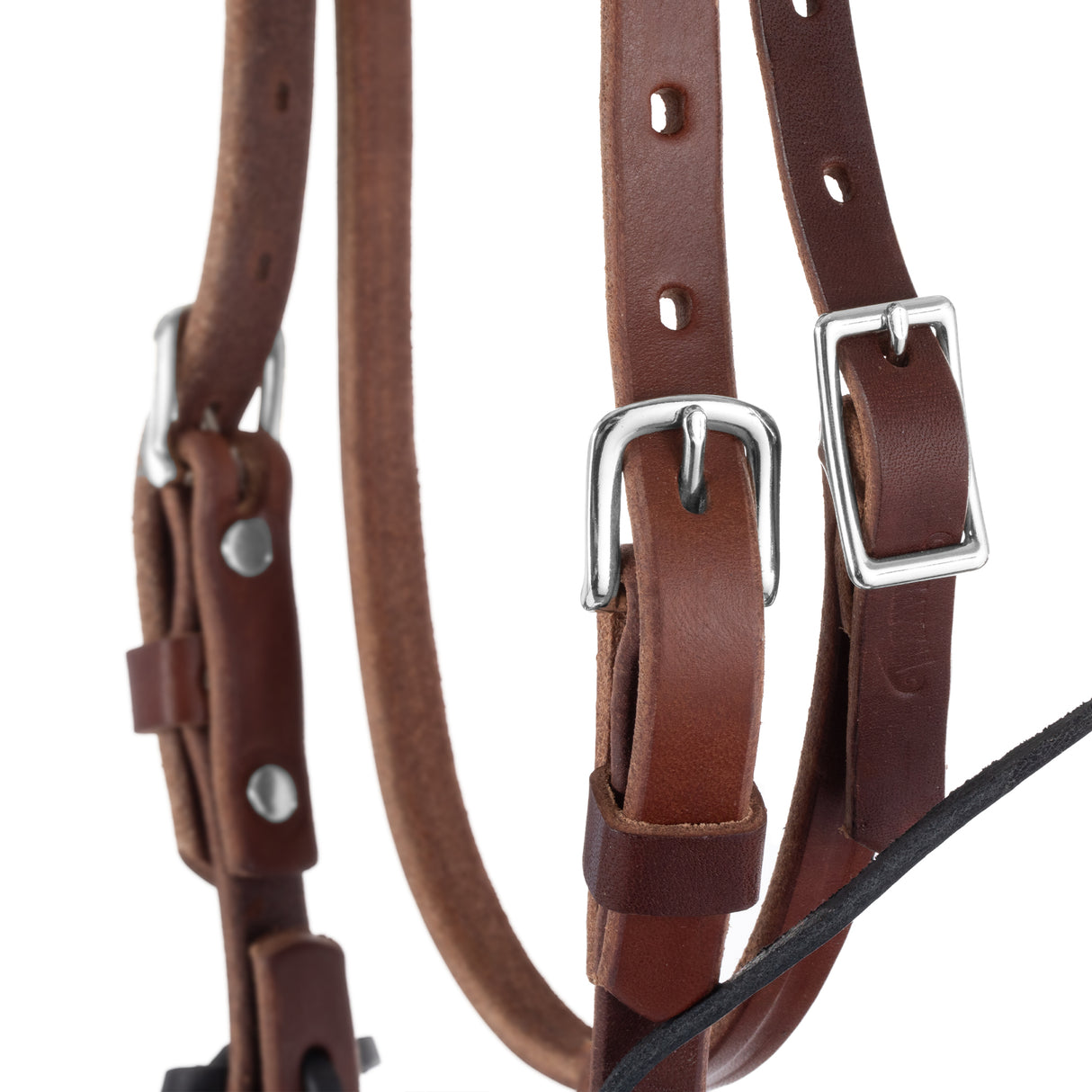 Mini Horse Bridle