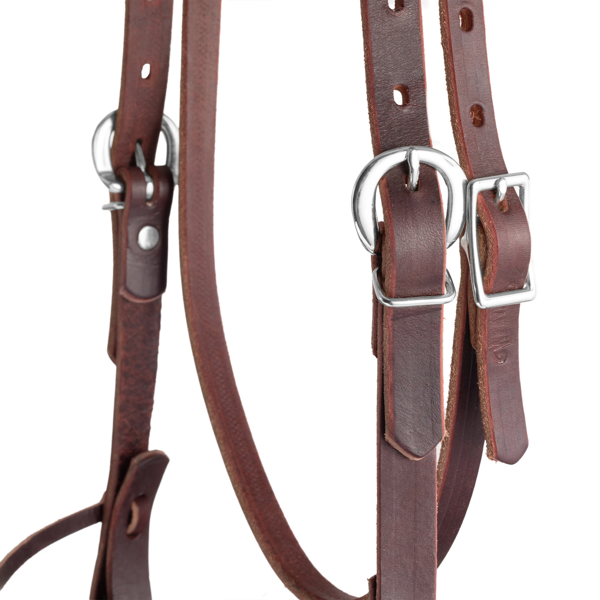 Browband Hackamore Bridle