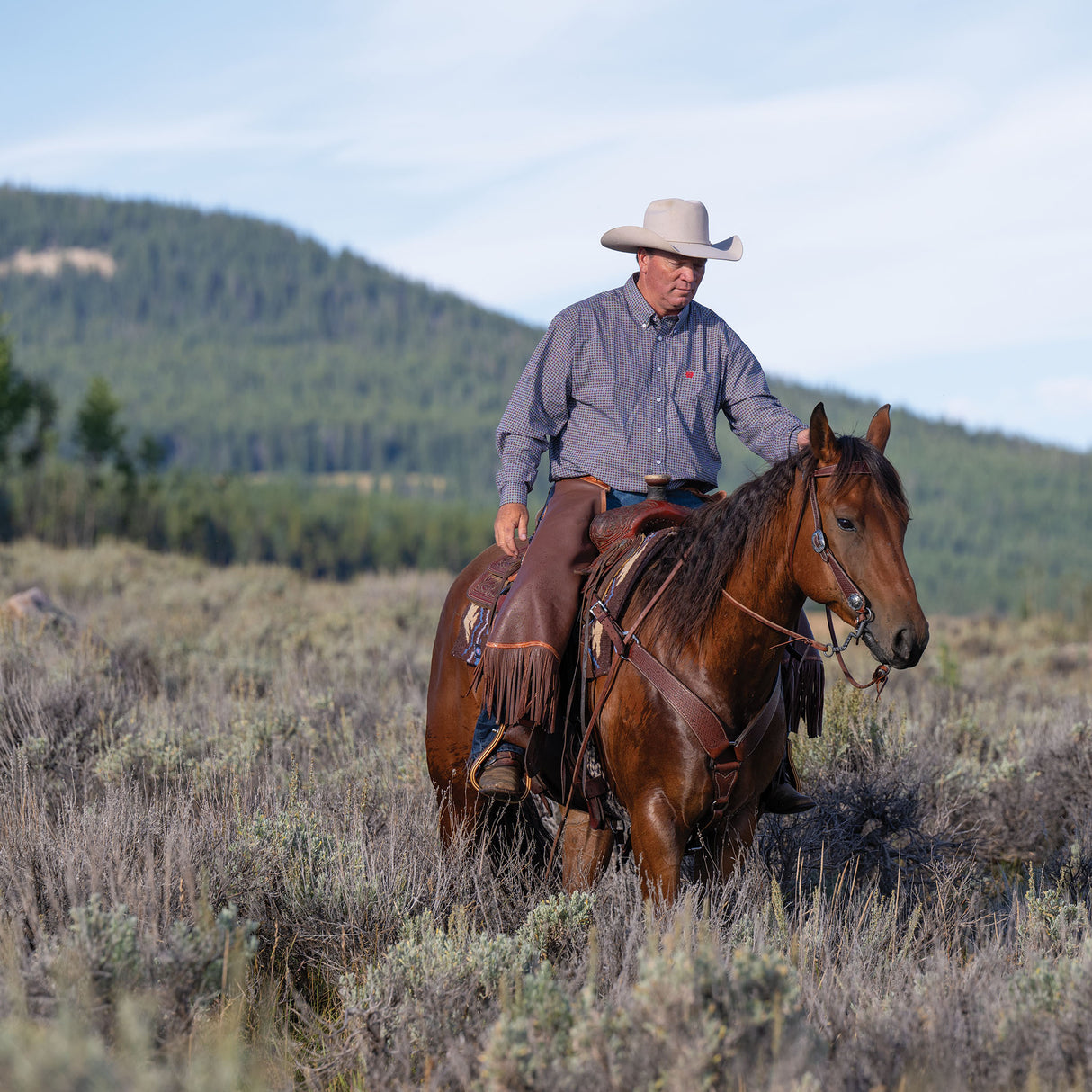 Basin Cowboy Breast Collars