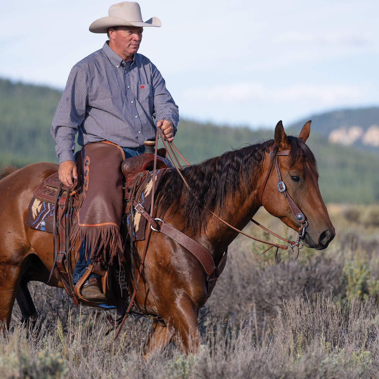 Basin Cowboy Browband Headstall