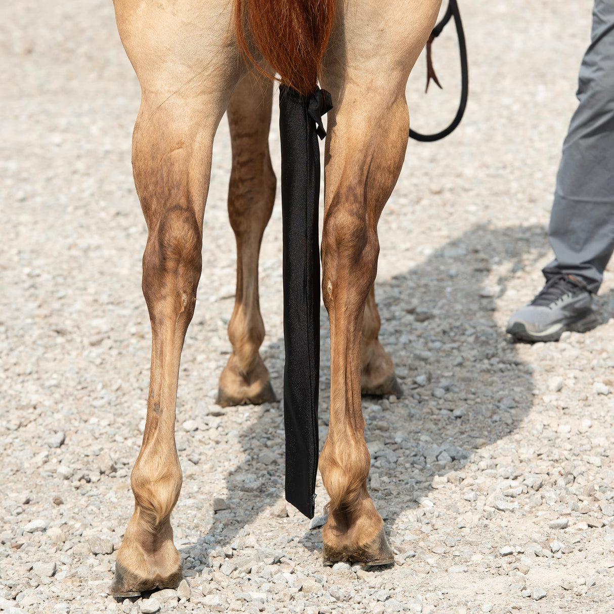 Lycra® Spandex Tail Bag