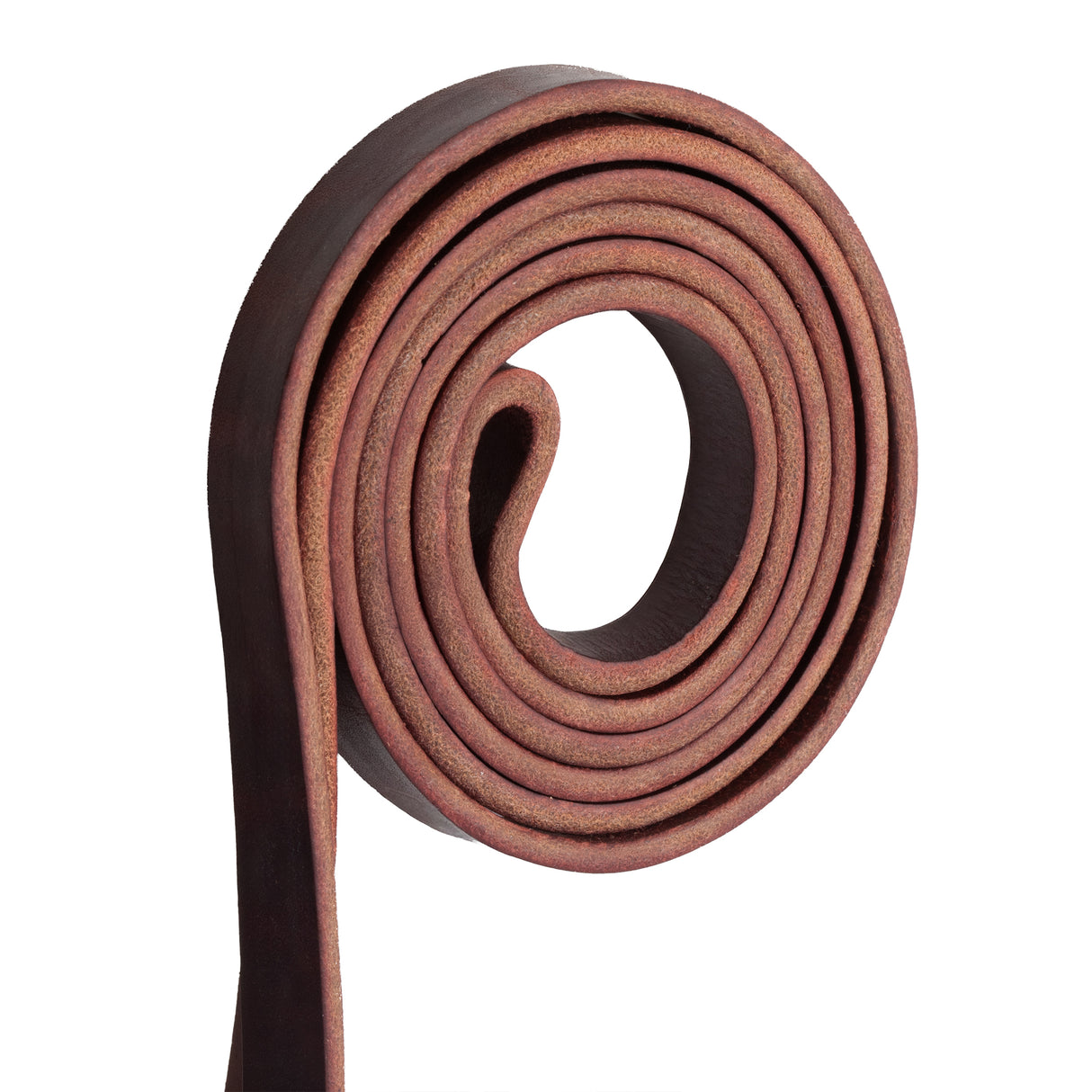 Browband Hackamore Bridle