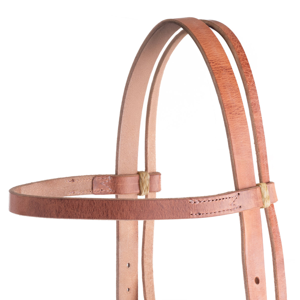 Justin Dunn Bitless Bridle, Draft