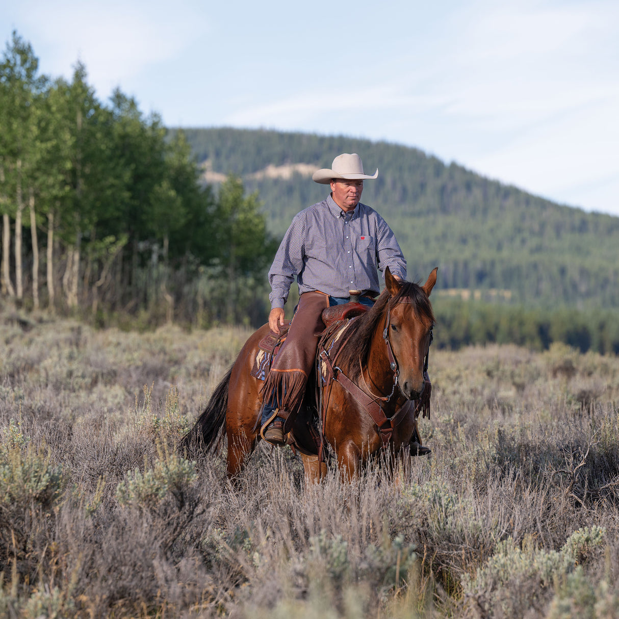 Basin Cowboy Breast Collars
