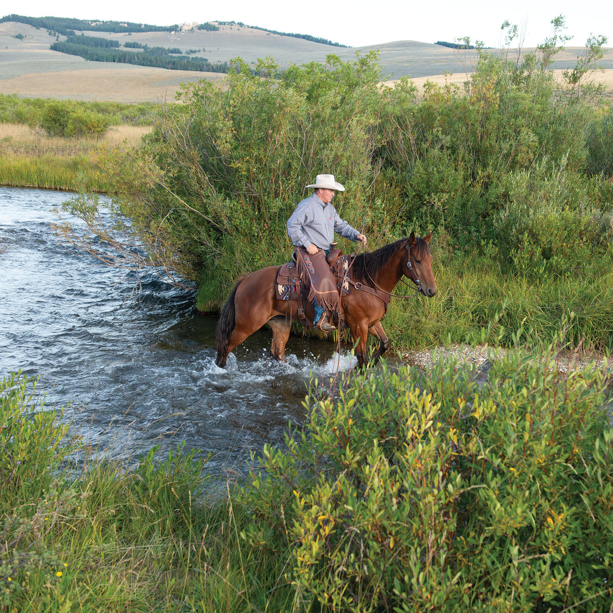 Basin Cowboy Breast Collars