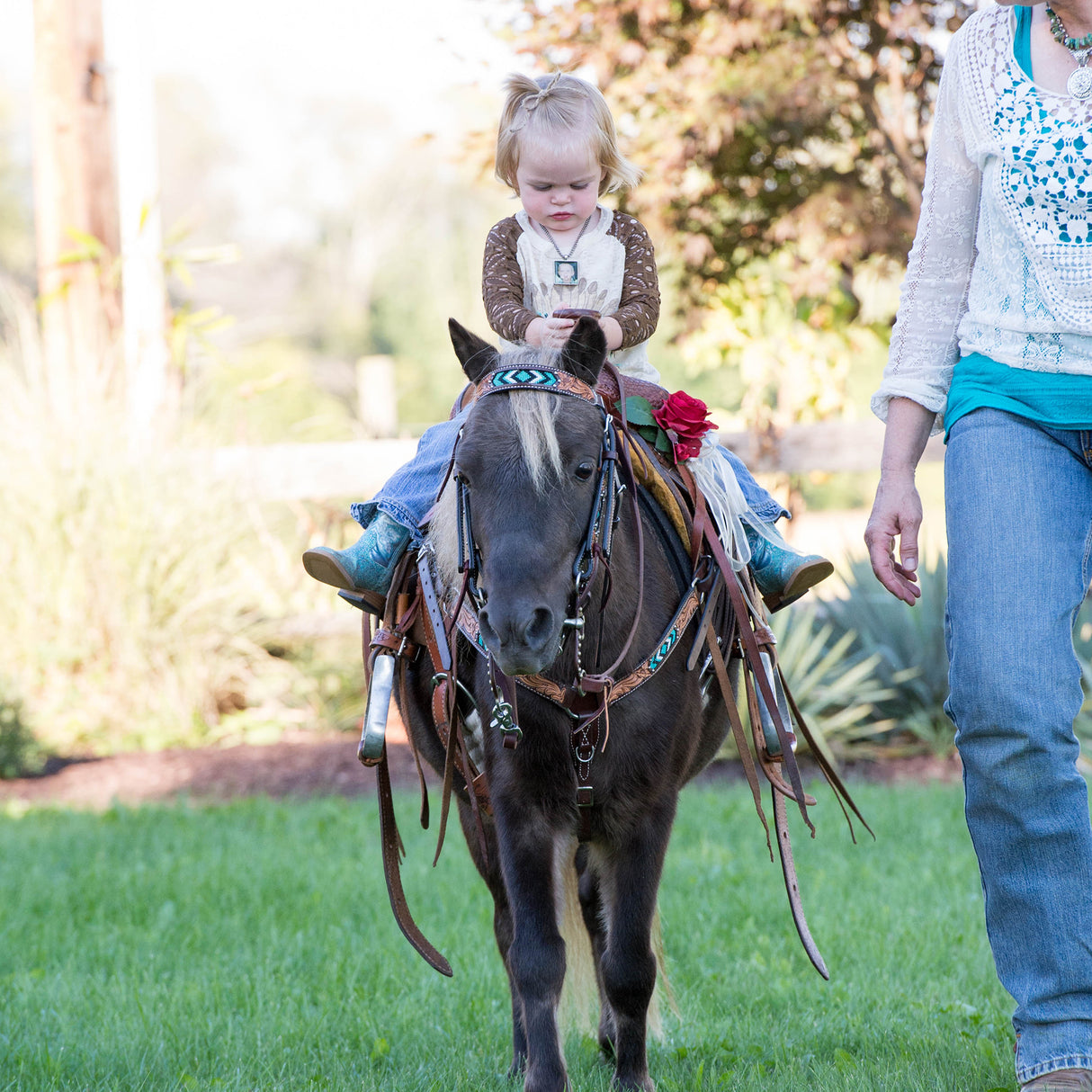 Breast Collar, Turquoise Beaded, 1-1/4", Pony